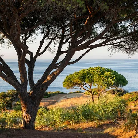 W Residences Algarve 5*