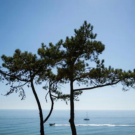 W Residences Algarve Hotel Albufeira